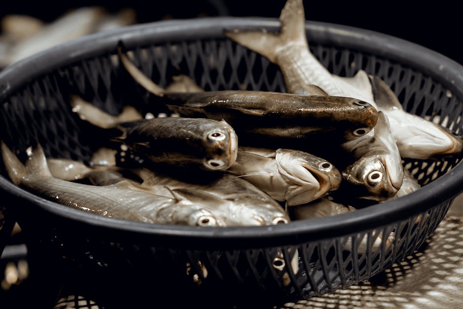 Ikan Bakar & Seafood pengkolan 5758: Rasa Laut yang Menggoda di Kawunganten